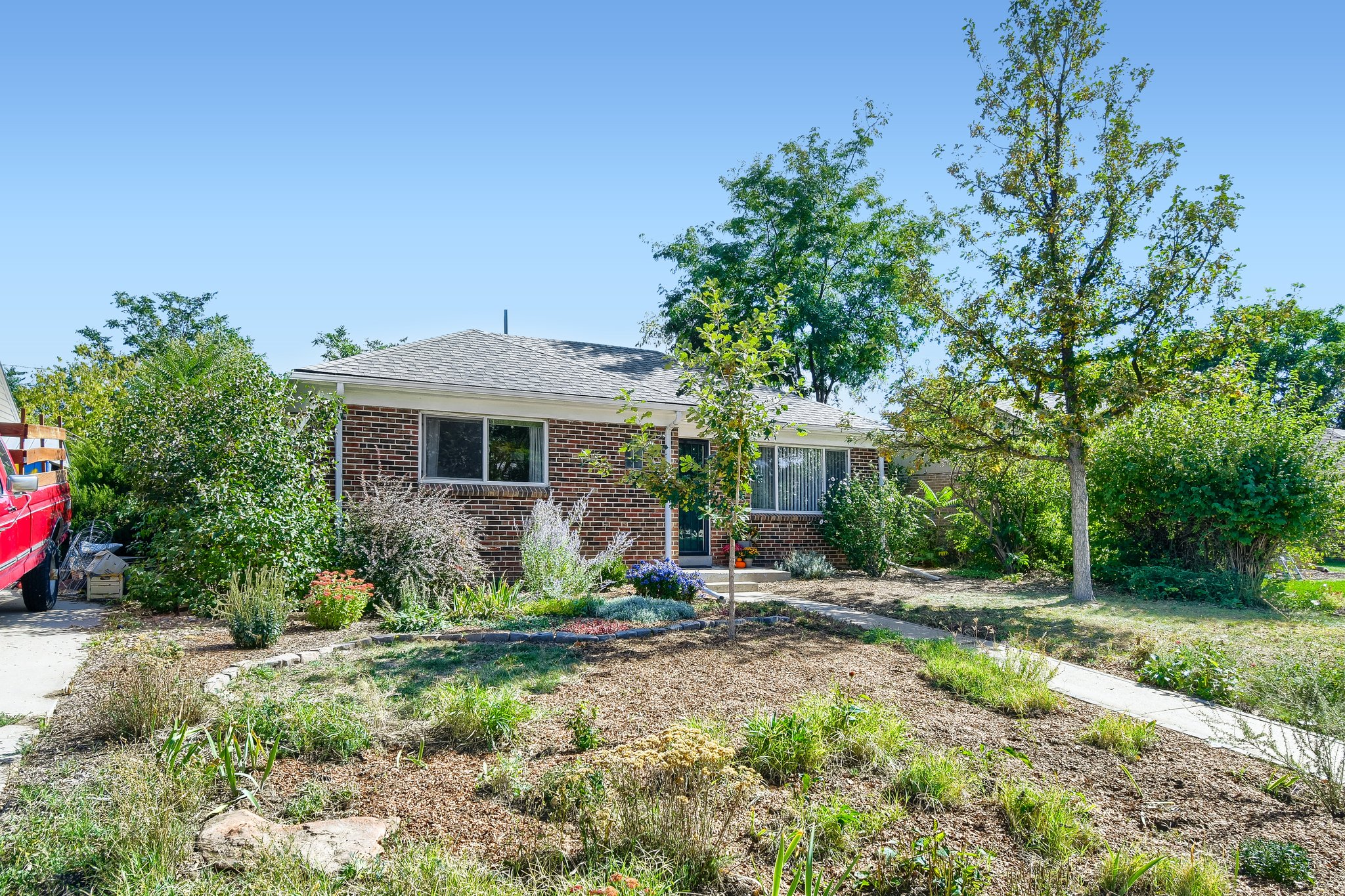 Front yard plantings